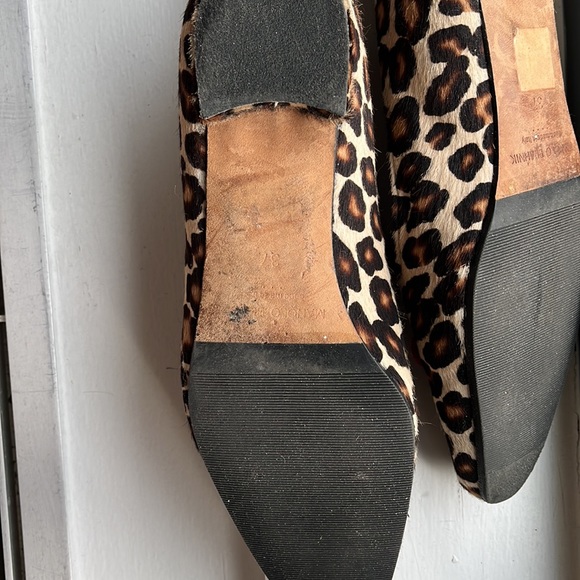 Manola Blahnik leopard flat - Picture 4 of 4